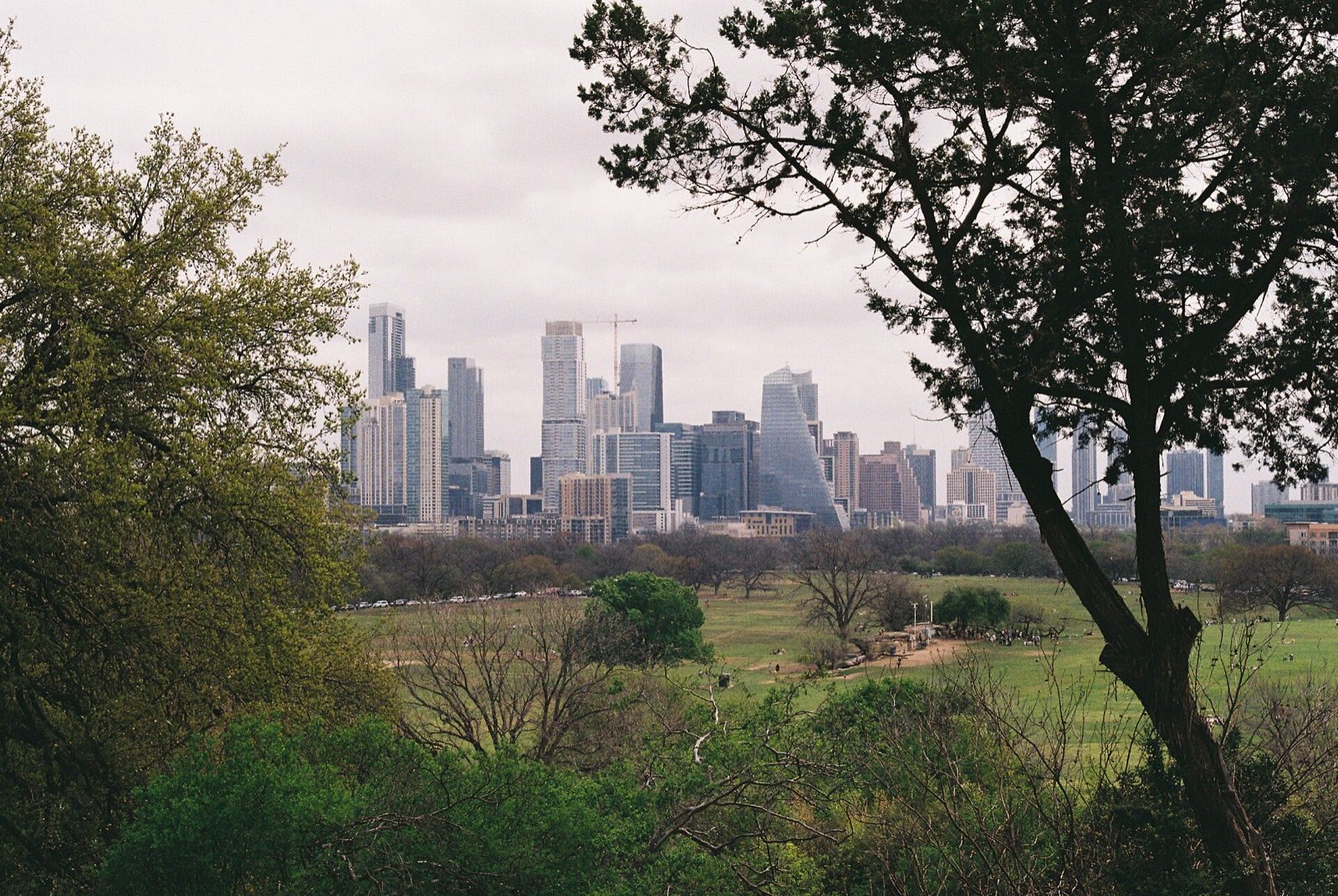 The Austin skyline seen from a park